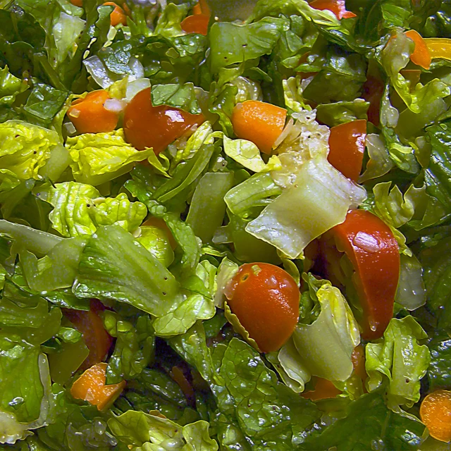 the salad has tomatoes, lettuce and carrots