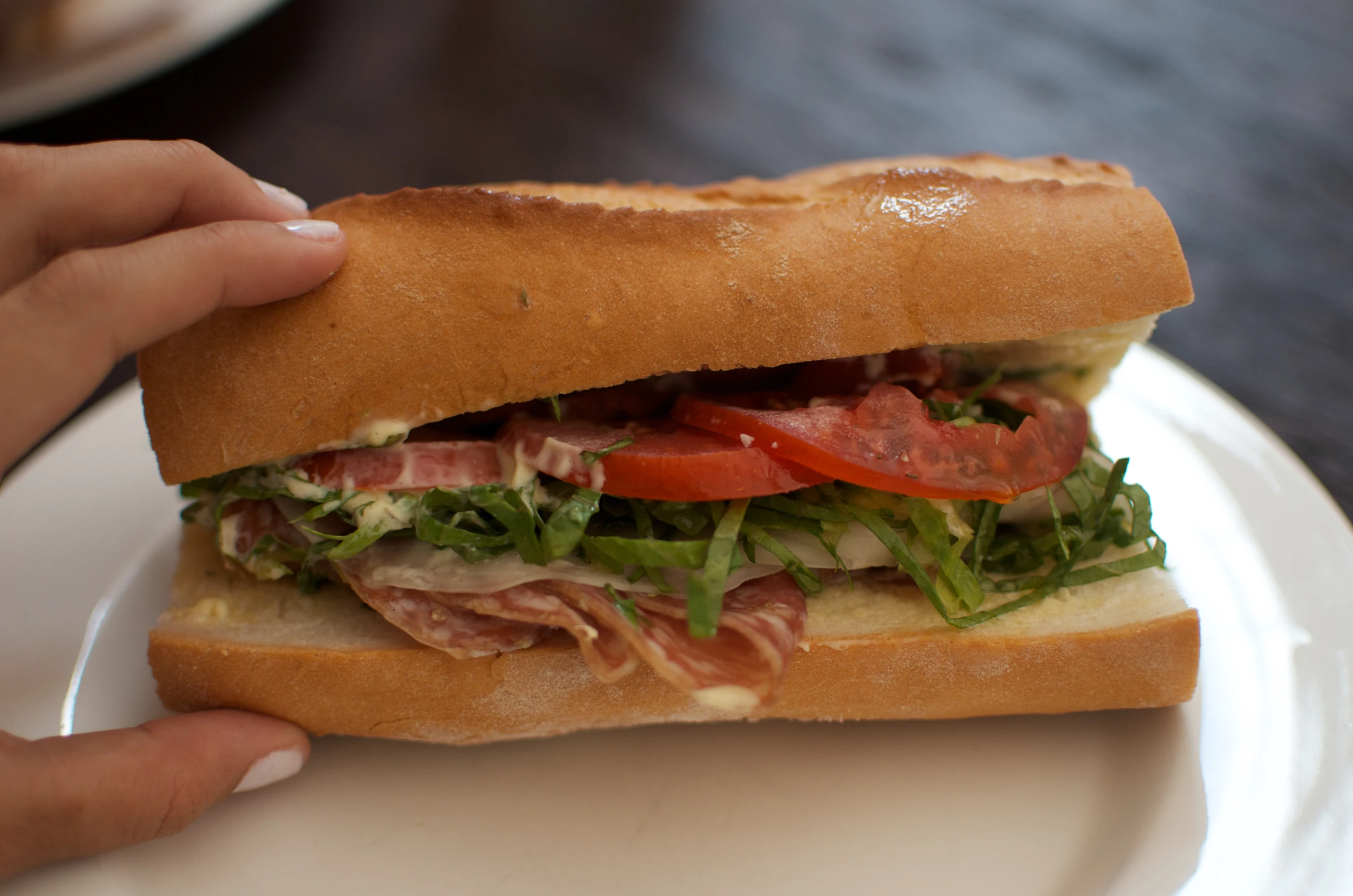 hand taking a sandwich from a plate on a table