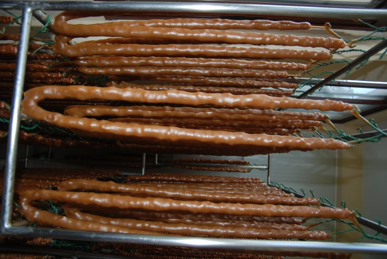 several rows of carrots hanging in a refrigerator