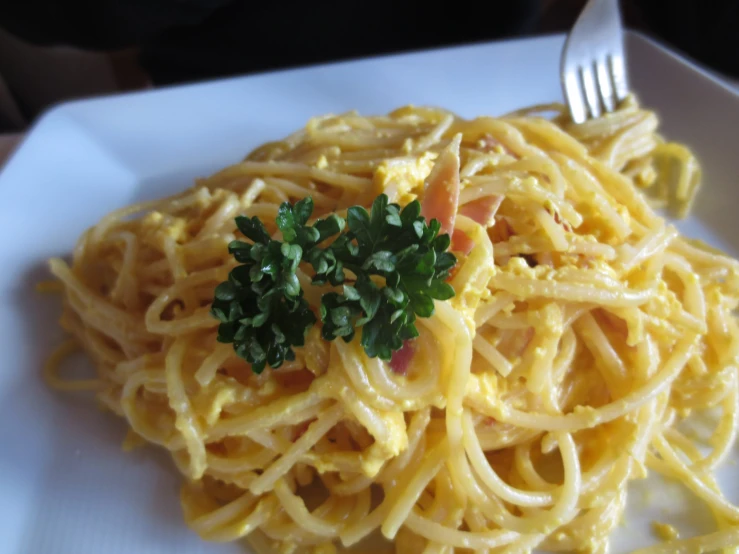 a plate of spaghetti with sauce and parsley