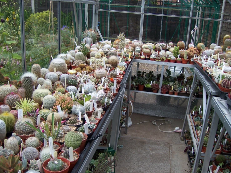 a garden greenhouse full of different types of plants