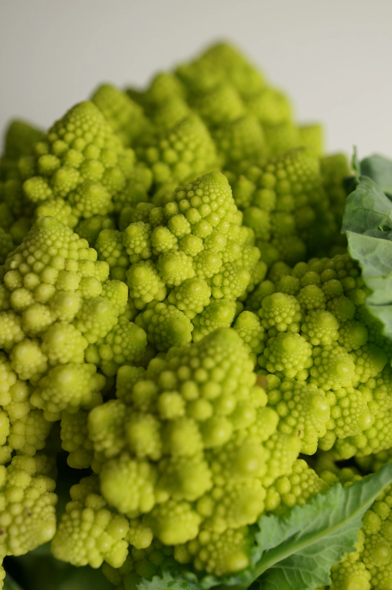 a close up s of broccoli