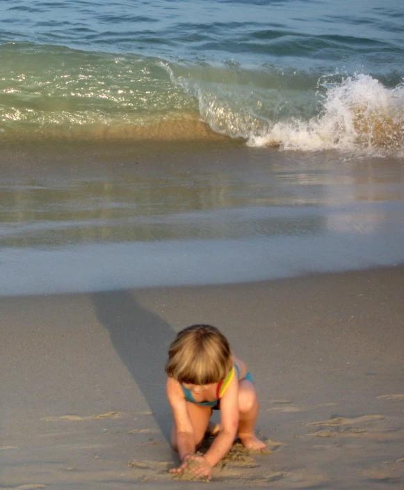 young child kneeling down to pick up shells on beach