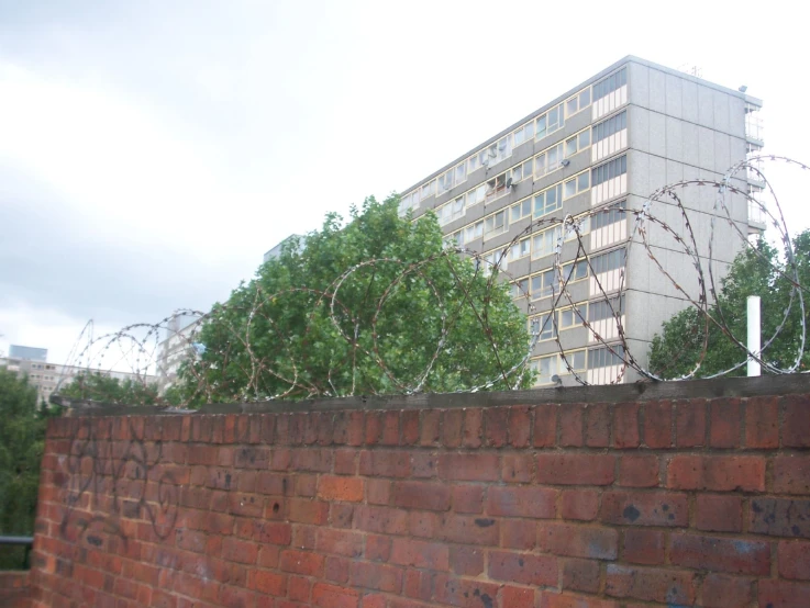 a wall that has some green trees growing out of it