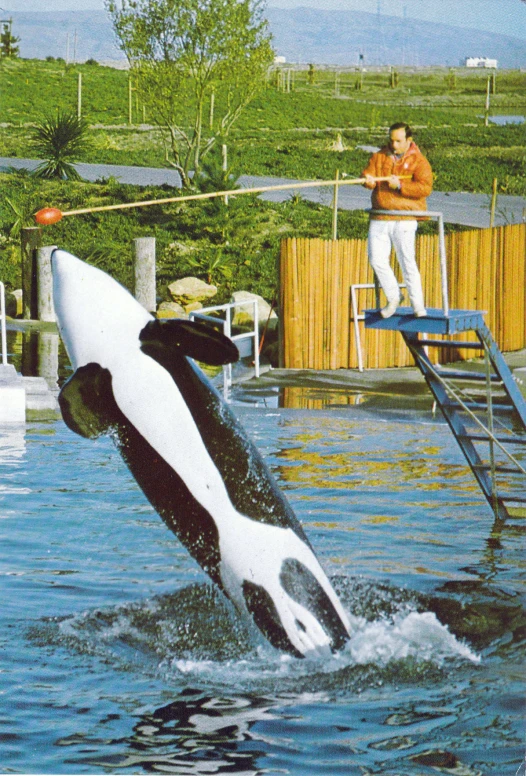 a man is climbing into the water from a diving platform