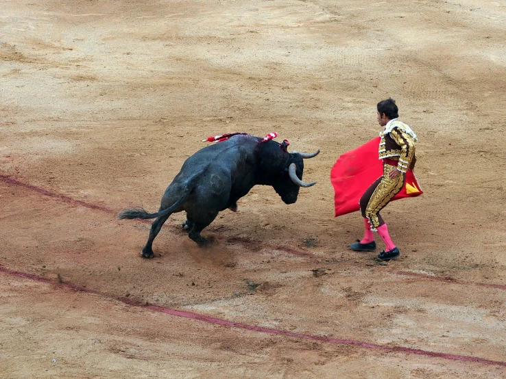 man in bull's costume walking toward another bull