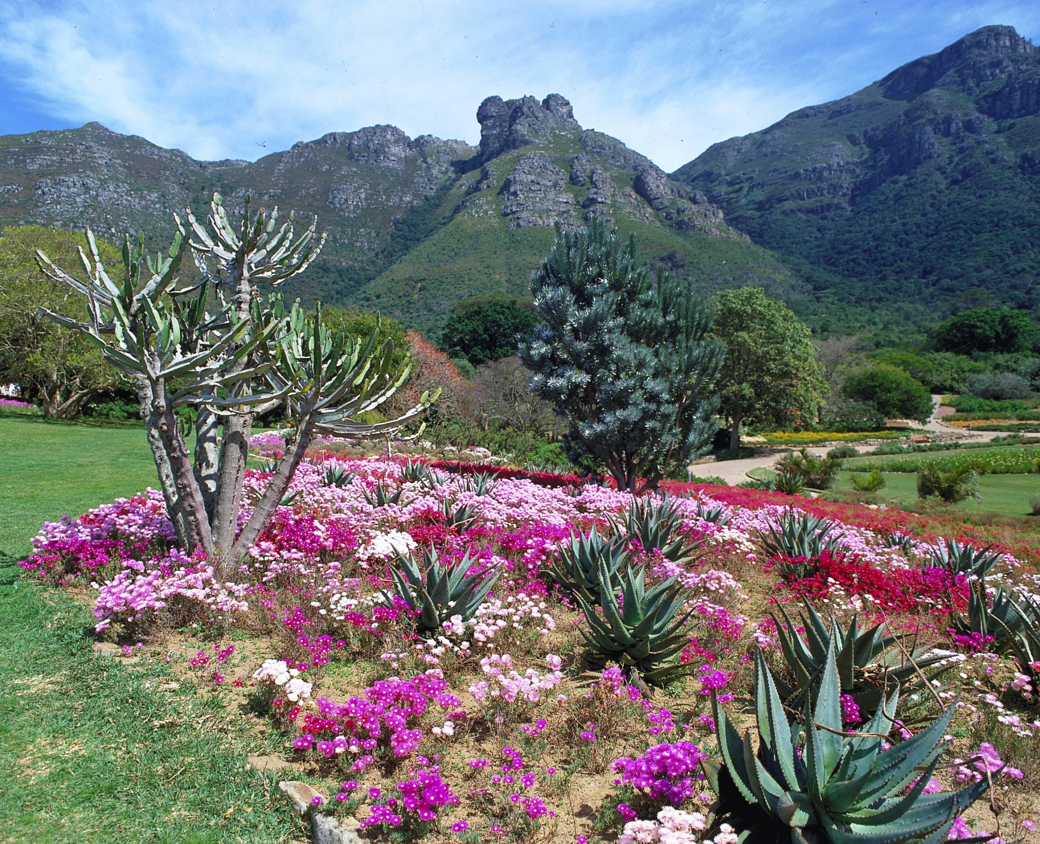 a flower bed in a park next to a mountain