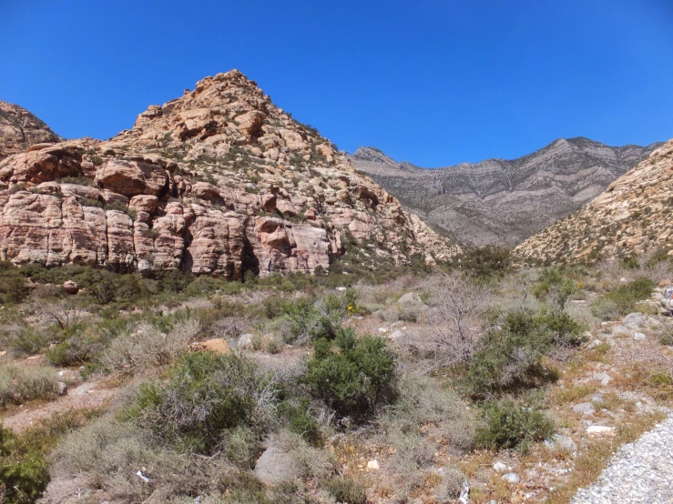 an area with rock formations and shrubbery, the sky is blue