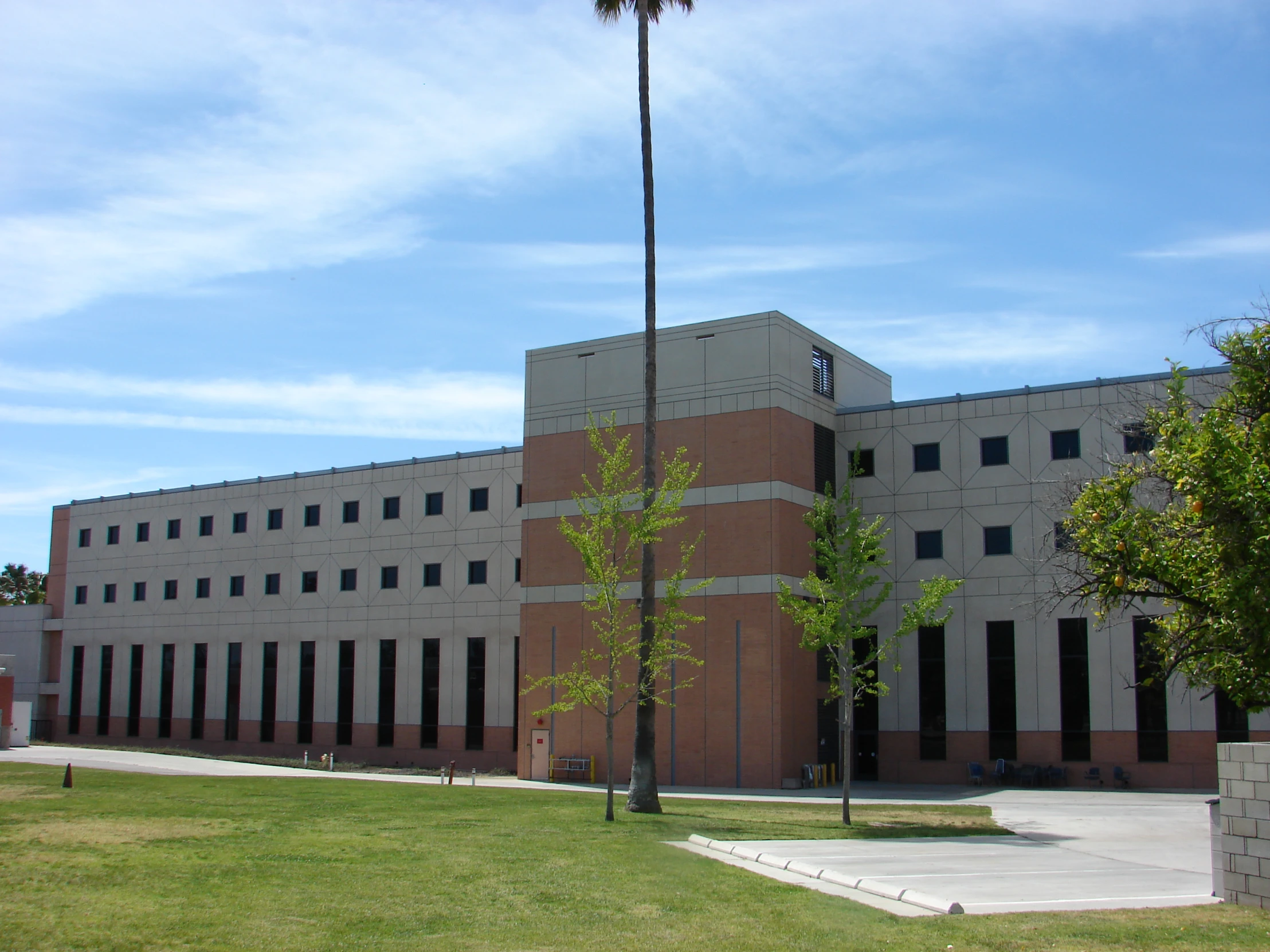 a picture of a building with palm trees on the lawn