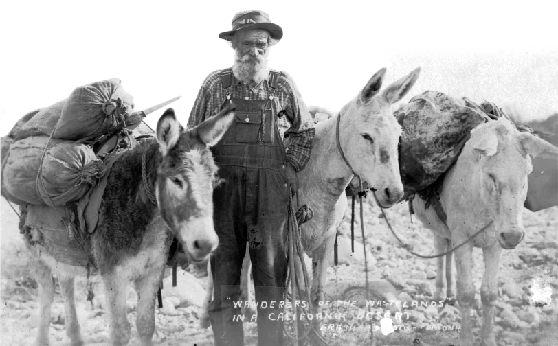 a man with a hat and donkeys next to him