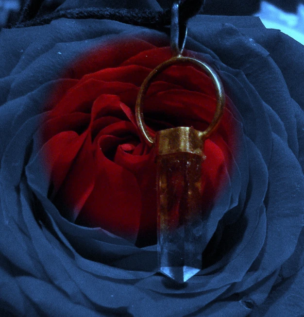 an image of red rose and a ring on a black background