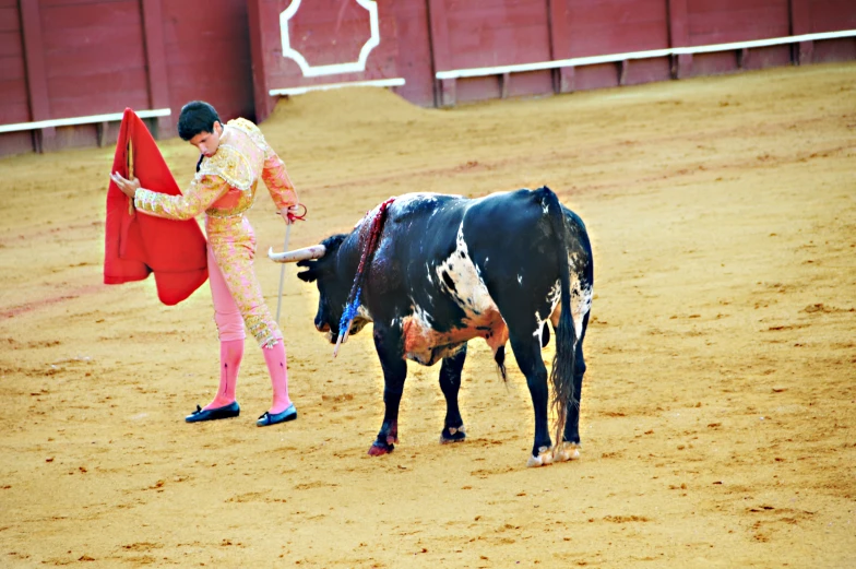 a  in a mata costume standing next to a bull