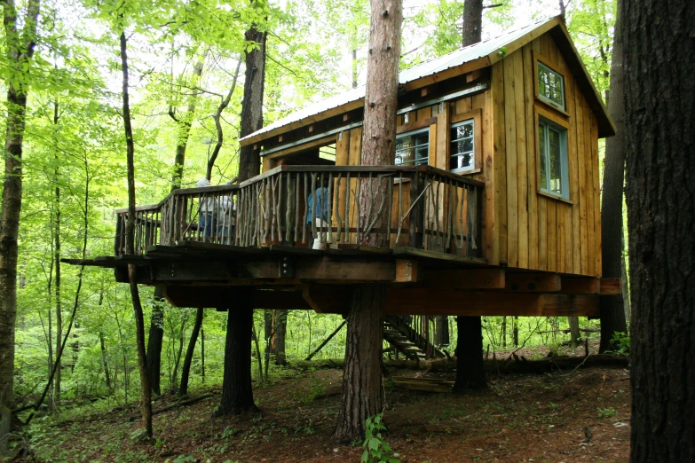 there is a tiny cabin built around a tree