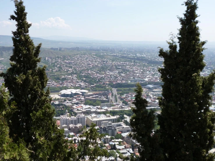 a city with many trees and a large body of water