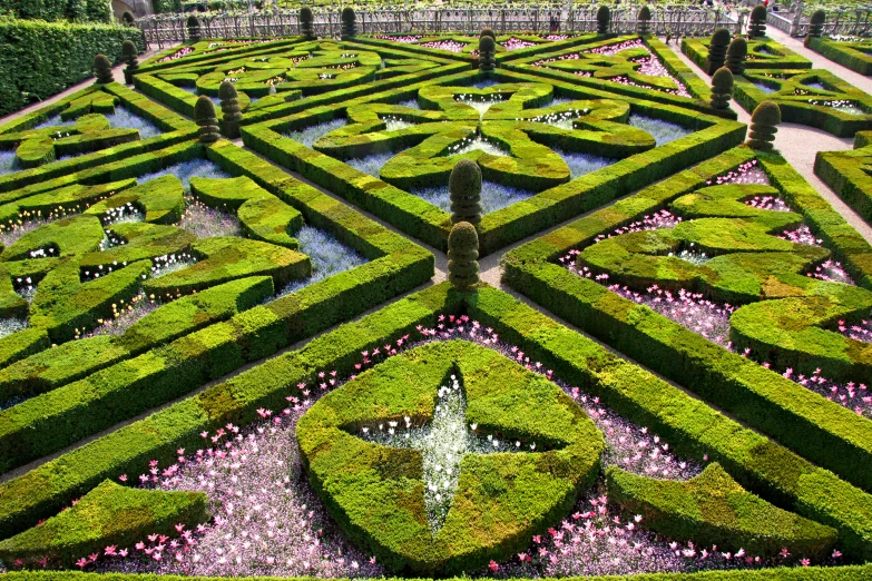 a large formal looking green garden