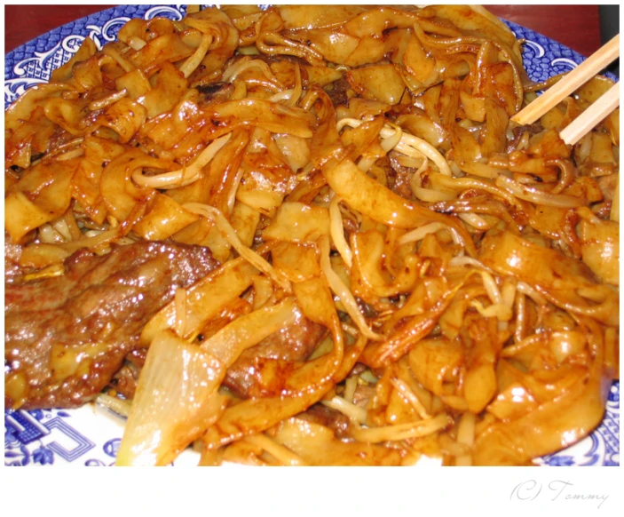 meat with onions are on a blue and white plate