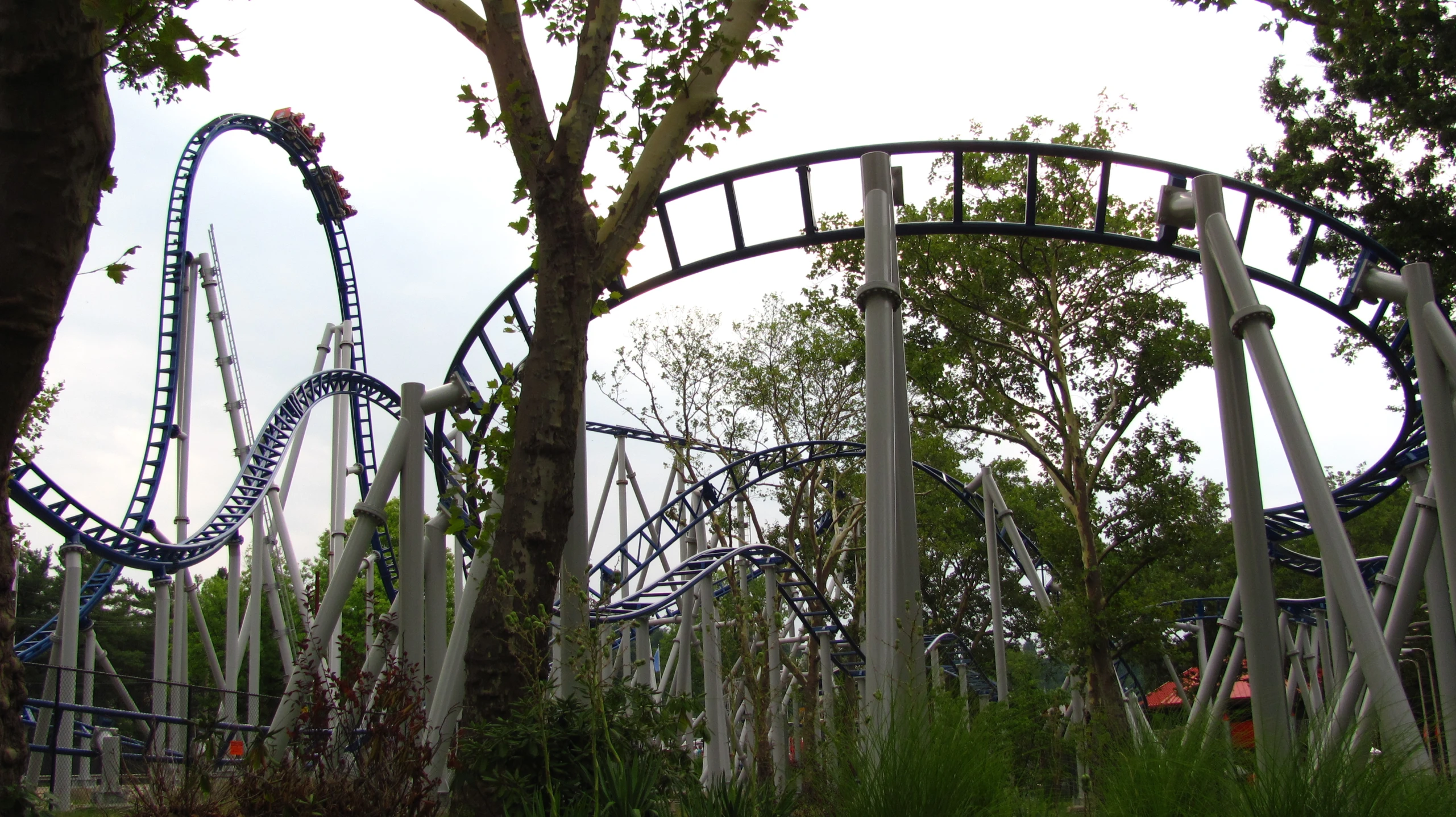 a view of a roller coaster at a park