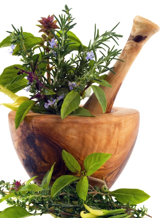 a wooden mortar bowl with plant life inside of it