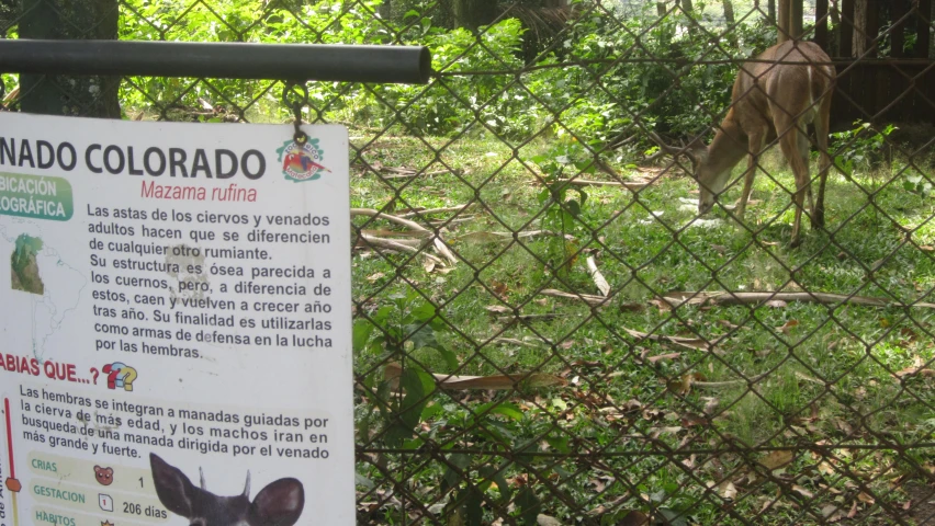 a sign showing where there are many animals in the forest