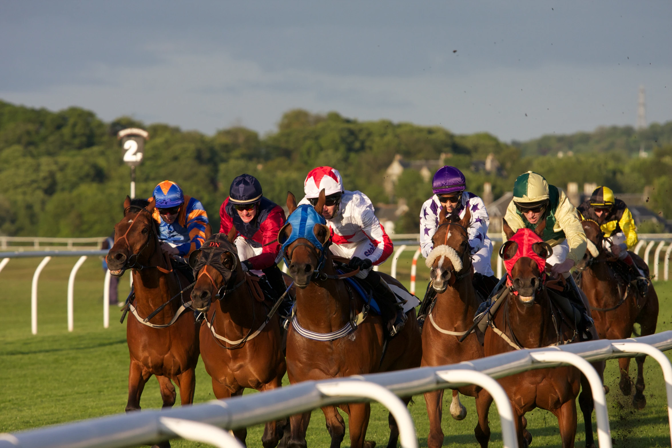 jockeys on horses racing down a race track