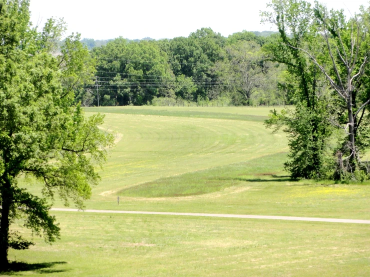 the lush, green field is located between two trees