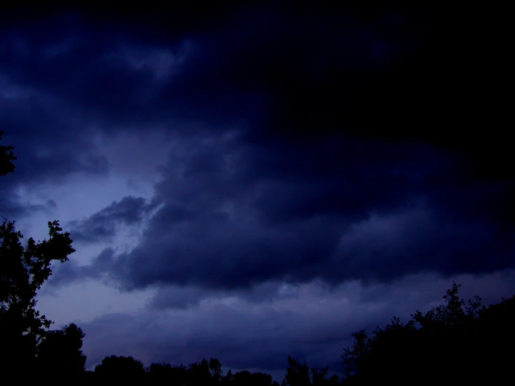 trees with the sky partially cover by dark clouds