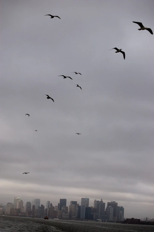 many birds flying over the water below a cloudy sky