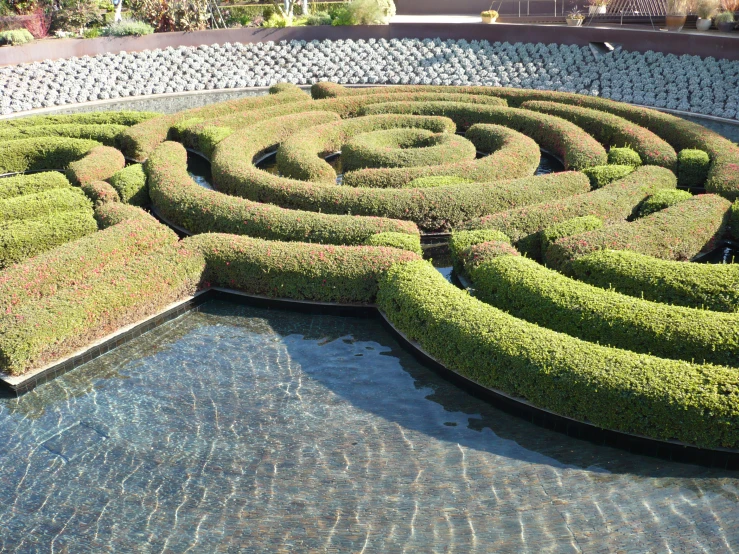 a circular shaped planter in the middle of an outdoor pond