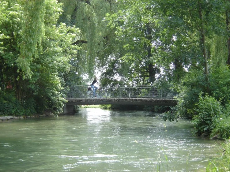 a bridge over a calm river between lush green trees