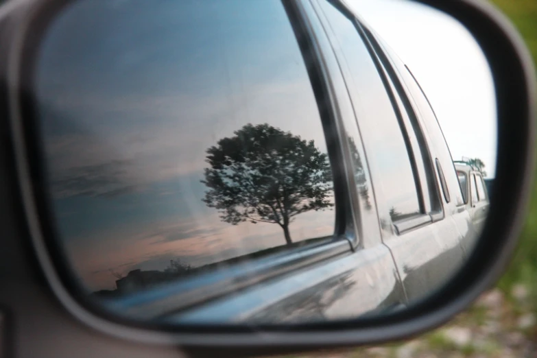 a rear view mirror that shows a tree