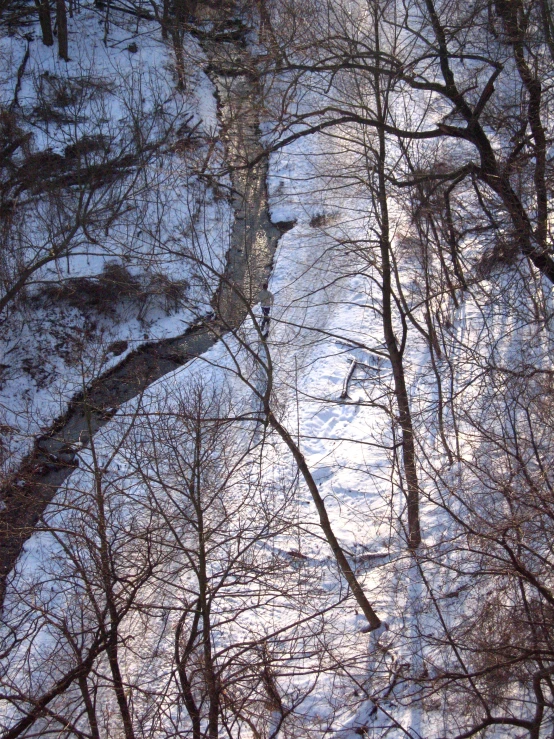 view from above looking at a forest of trees on the hill side