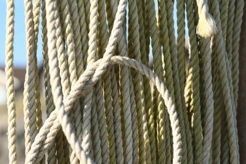 a number of rope lines tied together in multiple directions