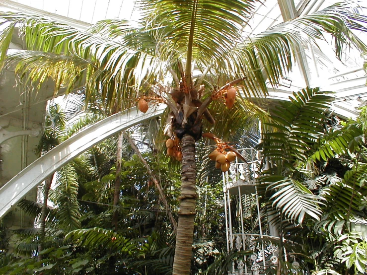 this is a view of the spiral staircase in the park