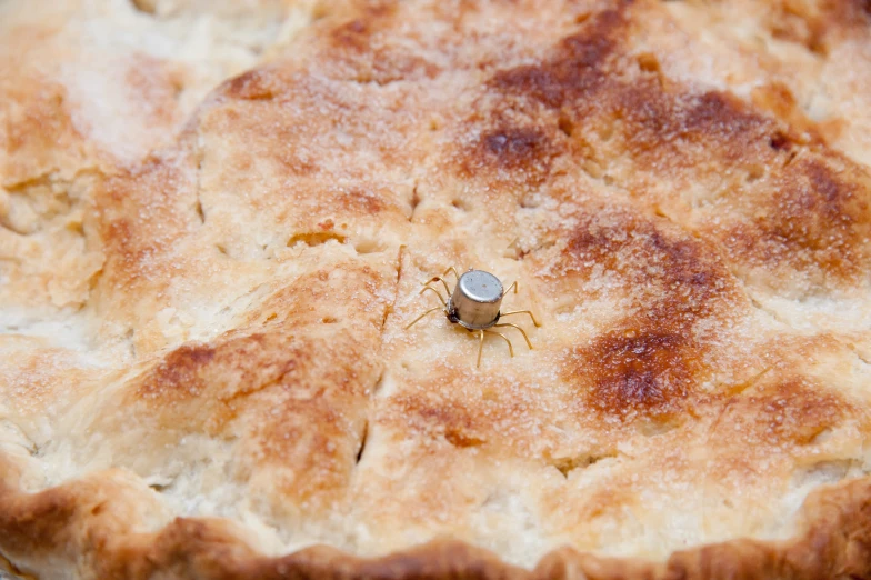 a spider crawling on the top of a pie crust