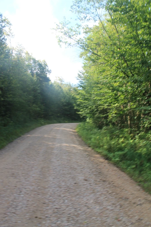 a dirt road in front of trees and green plants