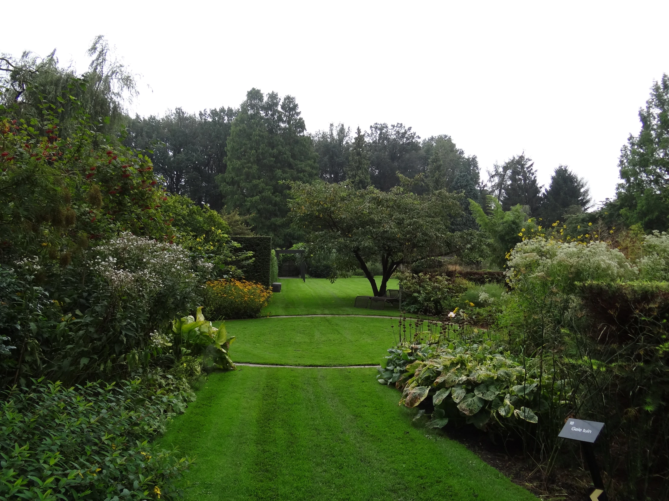 green grass, trees, bushes and plants in a path