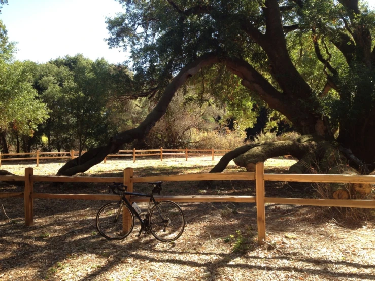 a bike parked in front of a fence under a tree