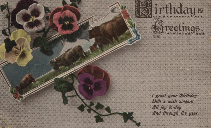 a card with three flowers and a cow inside