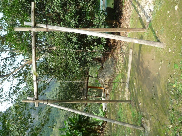 an empty swing set in a backyard garden