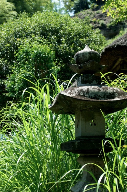 a bird bath sits next to green grass