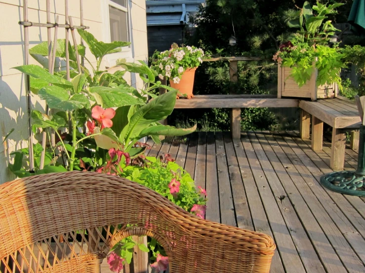 some flowers are in wicker pots and the grass is all around