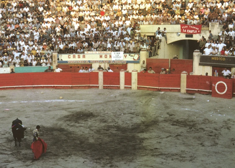 a bull stands in front of a large crowd