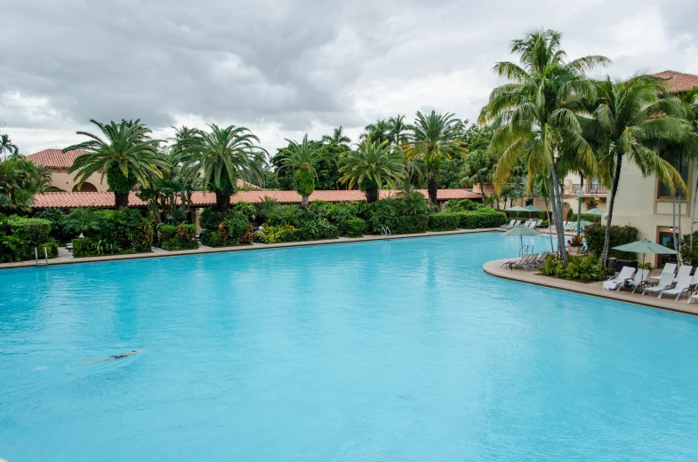 a large swimming pool in a resort with lounge chairs and trees