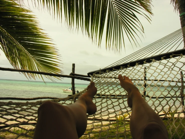 a person sitting in a hammock next to a tropical beach