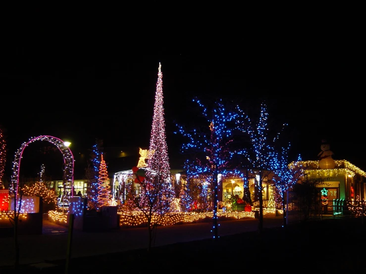 lighted trees, arch, lights and arches outside at night