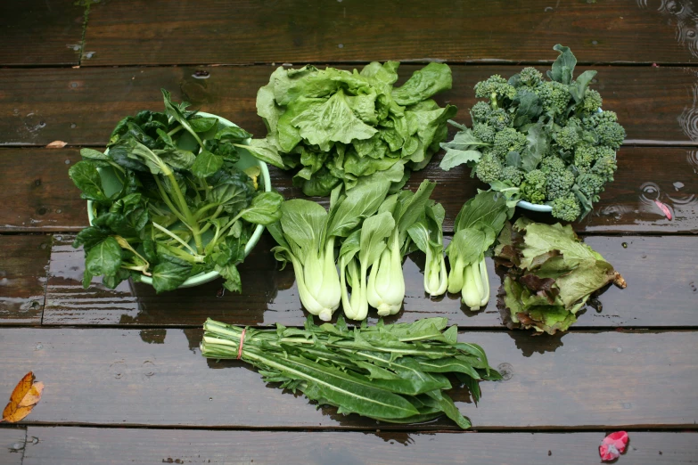 several greens are sitting in the rain on the ground