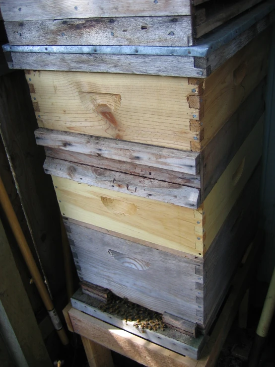 an hive in a hive box with wooden boards