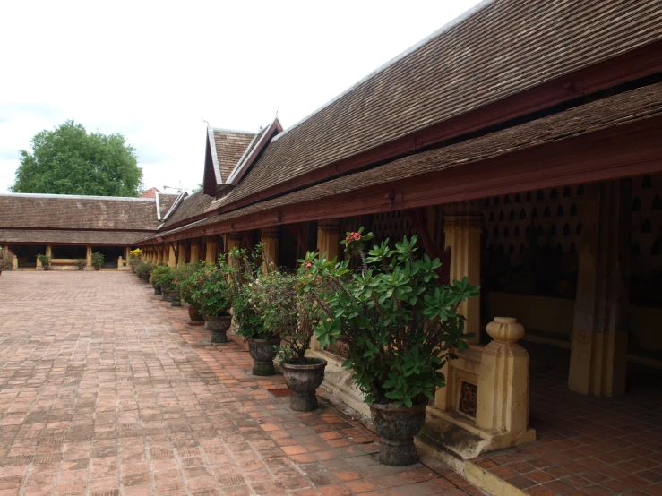 a walkway between two buildings with pots of plants