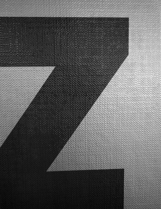 a black and white po of a z on a textured fabric