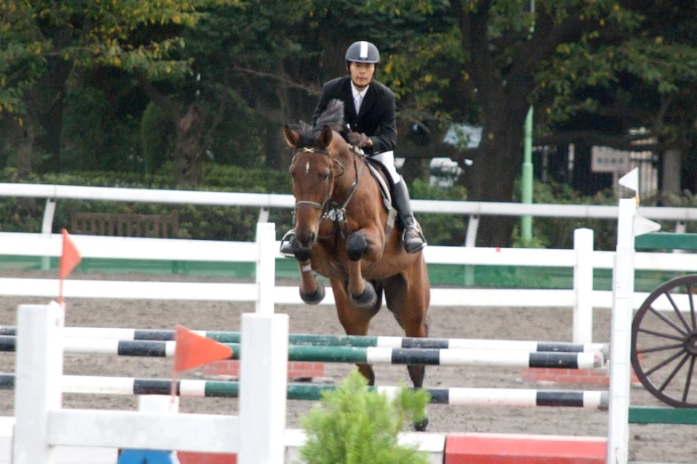 a jockey and her horse jumping over obstacles